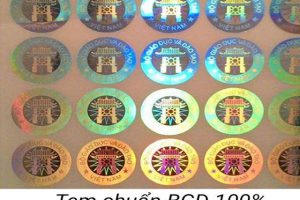 Nhận biết bằng cấp 3 phôi tem chuẩn của bộ giáo dục