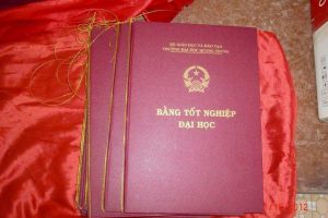 Dịch vụ làm bằng đại học uy tín chất lượng giá rẻ nhất toàn quốc